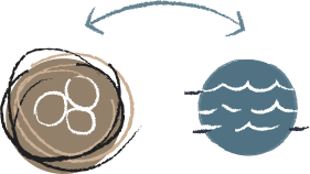 Average distance BTF build a nest from a permanent water source